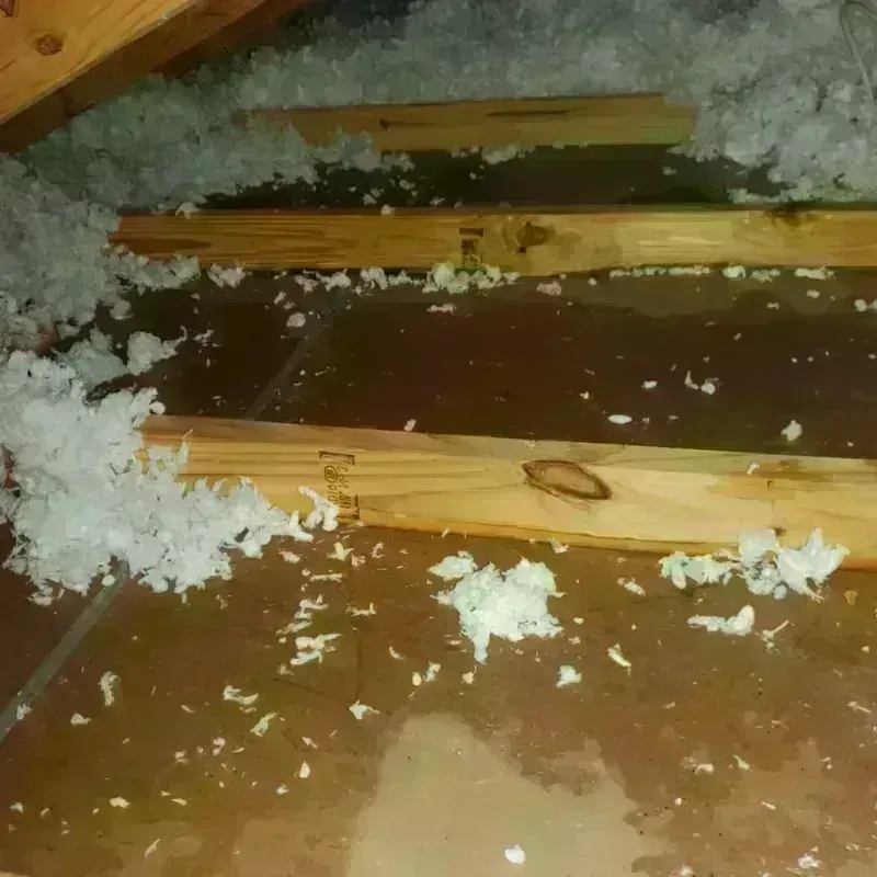 Attic Water Damage in Mills, WY