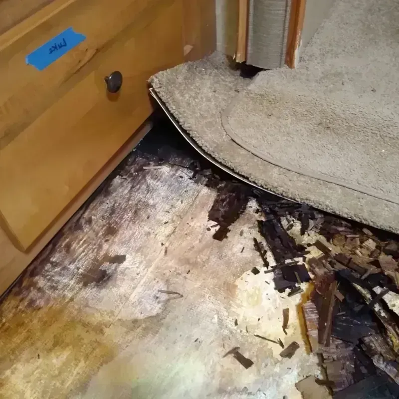 Best Wood Floor Water Damage Service in Mills, WY